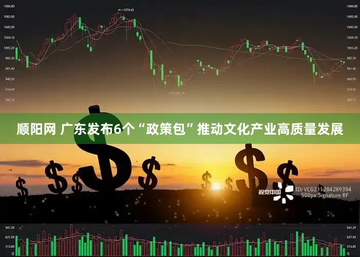 顺阳网 广东发布6个“政策包”推动文化产业高质量发展