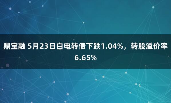 鼎宝融 5月23日白电转债下跌1.04%，转股溢价率6.65%
