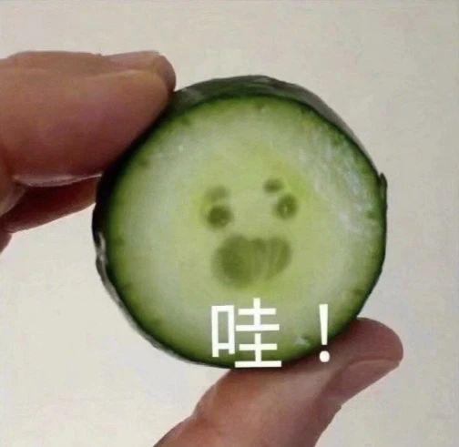 海纳策略 视觉Token注入CLIP语义，走向多模态理解与生成新范式