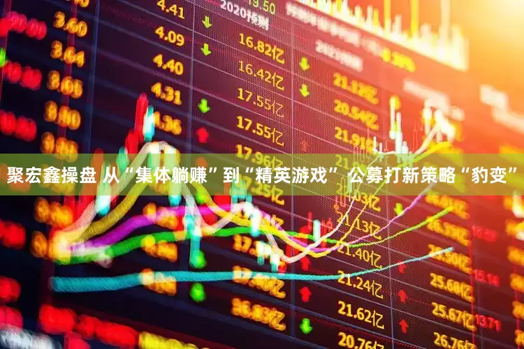 聚宏鑫操盘 从“集体躺赚”到“精英游戏” 公募打新策略“豹变”